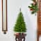 3ft. Pre-Lit Providence Pine Artificial Christmas Tree, Warm White LED Lights